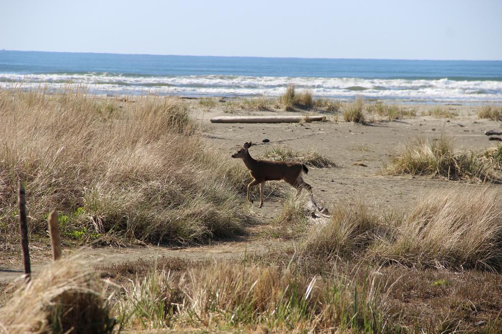Quinault Beach Resort & Casino Ocean City Bagian luar foto